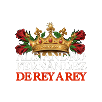 Alejandro Fernandez Anaheim Sticker by Honda Center