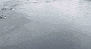 bubble whale GIF by Digg