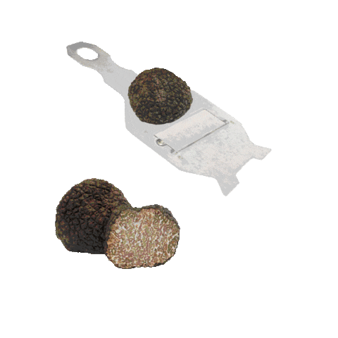 Pasta Truffle Sticker by Urbani Truffles