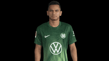 Bundesliga No GIF by VfL Wolfsburg