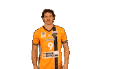 Volleyball Berlin Sticker by BR Volleys
