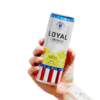 Rhode Island Shake Sticker by Loyal9Cocktails