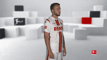 Posing Line Up GIF by Bundesliga