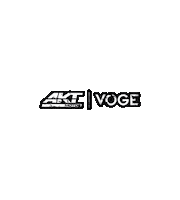 Voge Sticker by AKT MOTOS