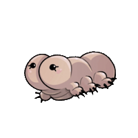 Oraouniverse waterbear orao oraouniverse tardigrado Sticker
