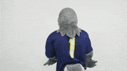 utchattanooga utc scrappy gomocs utchattanooga GIF