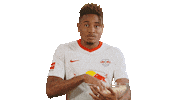 Football Lol Sticker by RB Leipzig