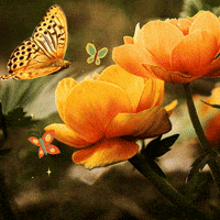 Happy Rose GIF by Golden Way Media Films