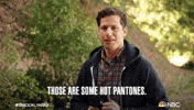Season 8 Episode 2 Nbc GIF by Brooklyn Nine-Nine