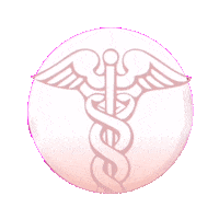 Aesthetic_Expert aesthetic expert Sticker
