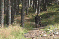 Glenlivet GIF