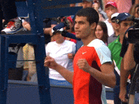 Alcaraz Moves On
