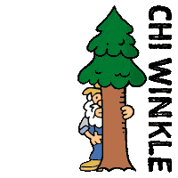 Jewish Camp Sticker by Camp Chi