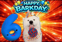 Benji Barkday GIF