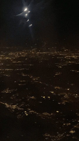 Viajar Los Angeles GIF