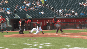 lansing michigan baseball GIF by Lansing Lugnuts