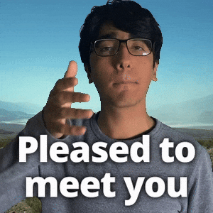 Greeting Pleased To Meet You GIF