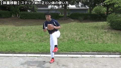 9log giphygifmaker GIF