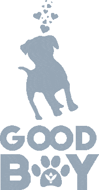 Dog Puppy Sticker by Kabene Jeans