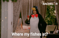Thebachelor GIF by The Bachelor Australia