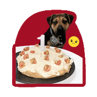 Cake Sticker by Awesome Pawsome Treats