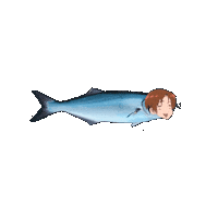 Fish Sticker