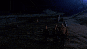 Night Wow GIF by Malcolm France