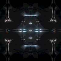 kronogenesis megasoma GIF