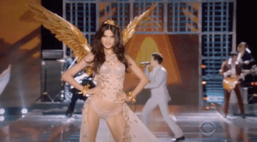 vsfs 2017 GIF by Victoria's Secret Fashion Show