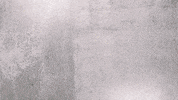 Merch GIF by Cavetown