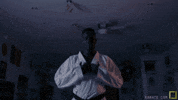 karate GIF by karatecombat