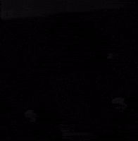 Uzbek Fake Smile GIF