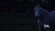 walk away over it GIF by CBC