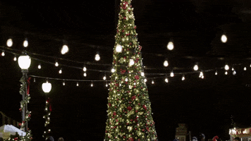 Christmas Time GIF by Hallmark Channel