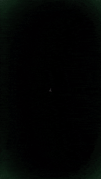 musatdhoofcare hoof farrier hoofcare mustad GIF