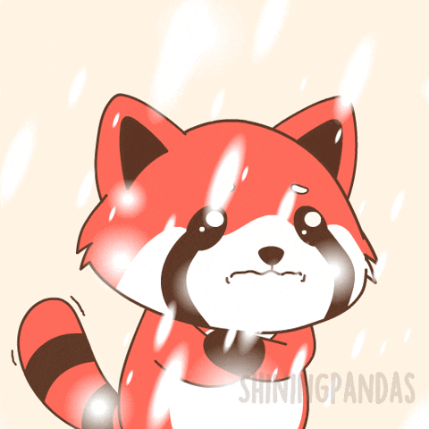 Freezing Red Panda GIF