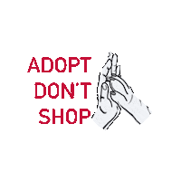 Cat Adopt Sticker