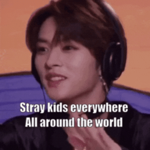 Stray Kids Everywhere All Around The World GIF