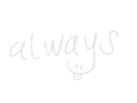 Animation Ae Sticker