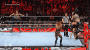 Wwe Wrestling GIF by USA Network