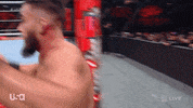 Sport Wwe GIF by USA Network