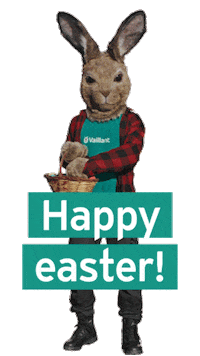Vaillant_Central easter happy easter happyeaster hare Sticker