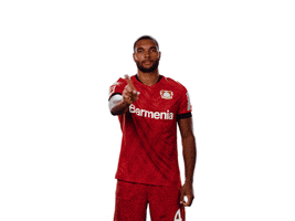 Bayer 04 No GIF by Bayer 04 Leverkusen