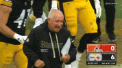 Excited Football GIF by Pittsburgh Steelers