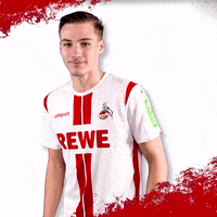 1 Fc Cologne Football GIF by 1. FC Köln