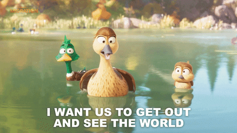 MigrationMovie giphyupload travel vacation duck GIF