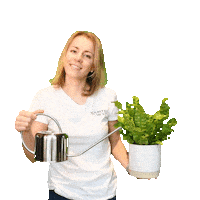 GreenMeUp green natur grun wald Sticker