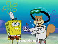 season 4 GIF by SpongeBob SquarePants