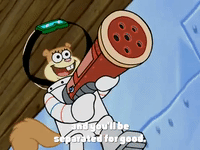 season 4 GIF by SpongeBob SquarePants