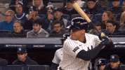 Home Run Sport GIF by MLB